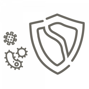 NOMA-Icon-Immunsystem